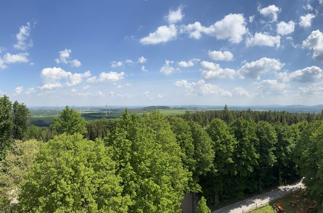 Pohled z rozhledny na Butterberg © Westlausitz